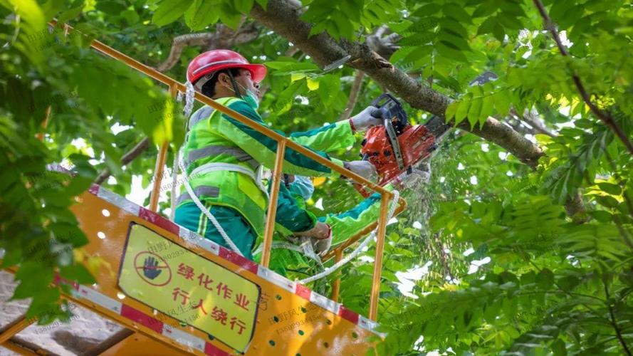 城市园林管理常见问题：“沉水植物如何保持优雅状态？”解答在此！