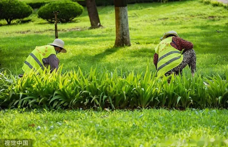 2公顷园林景观设计公式