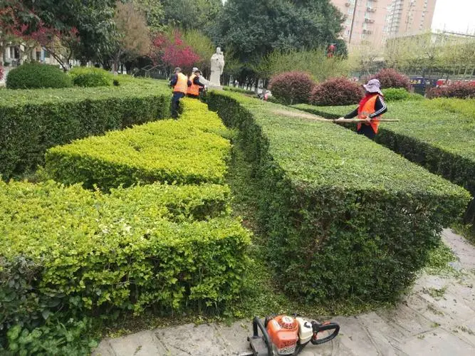 办公楼大厅园林景观设计