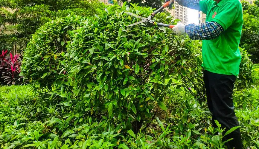 别墅园林景观设计现代风格